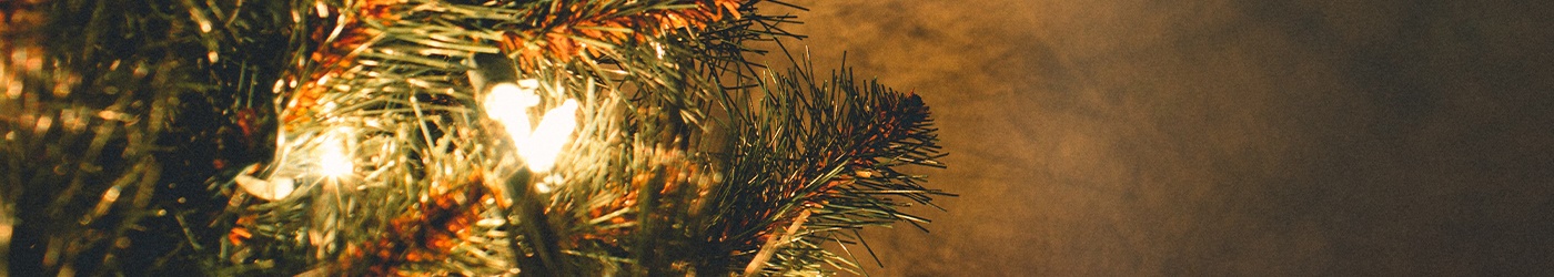 Opening Hours | Christmas 2025